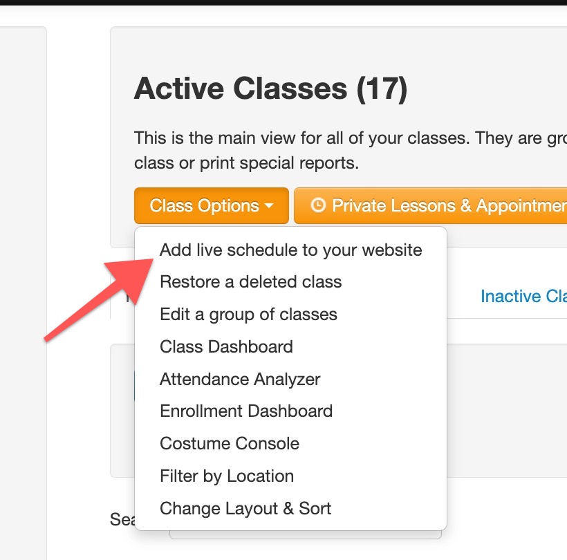 Dropdown menu under Class Options button