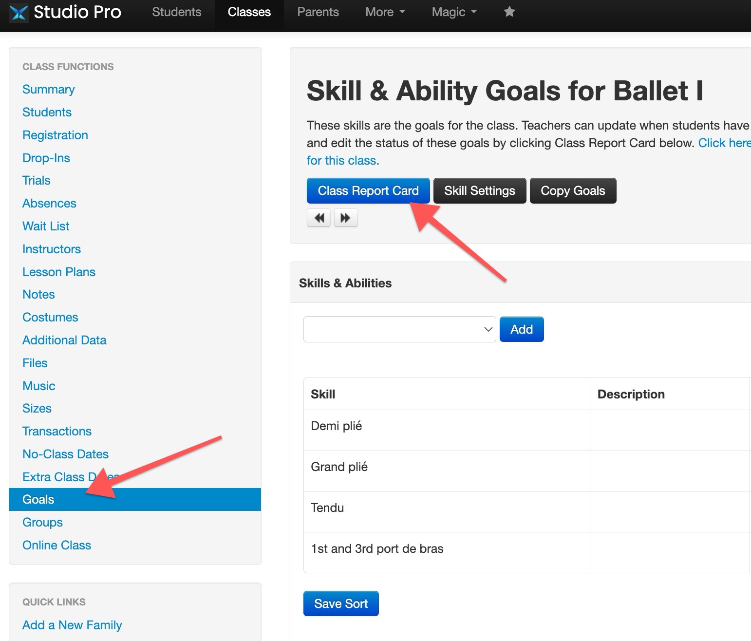Ballet class skill goals interface
