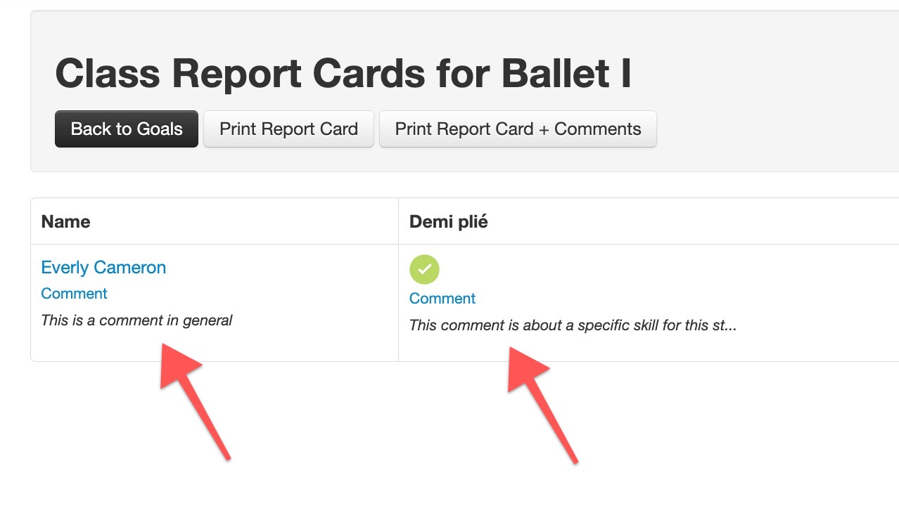Class report cards for Ballet I interface