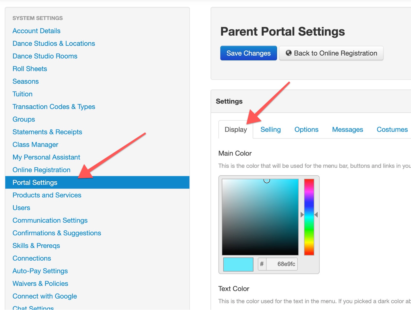 Portal settings menu with color options.