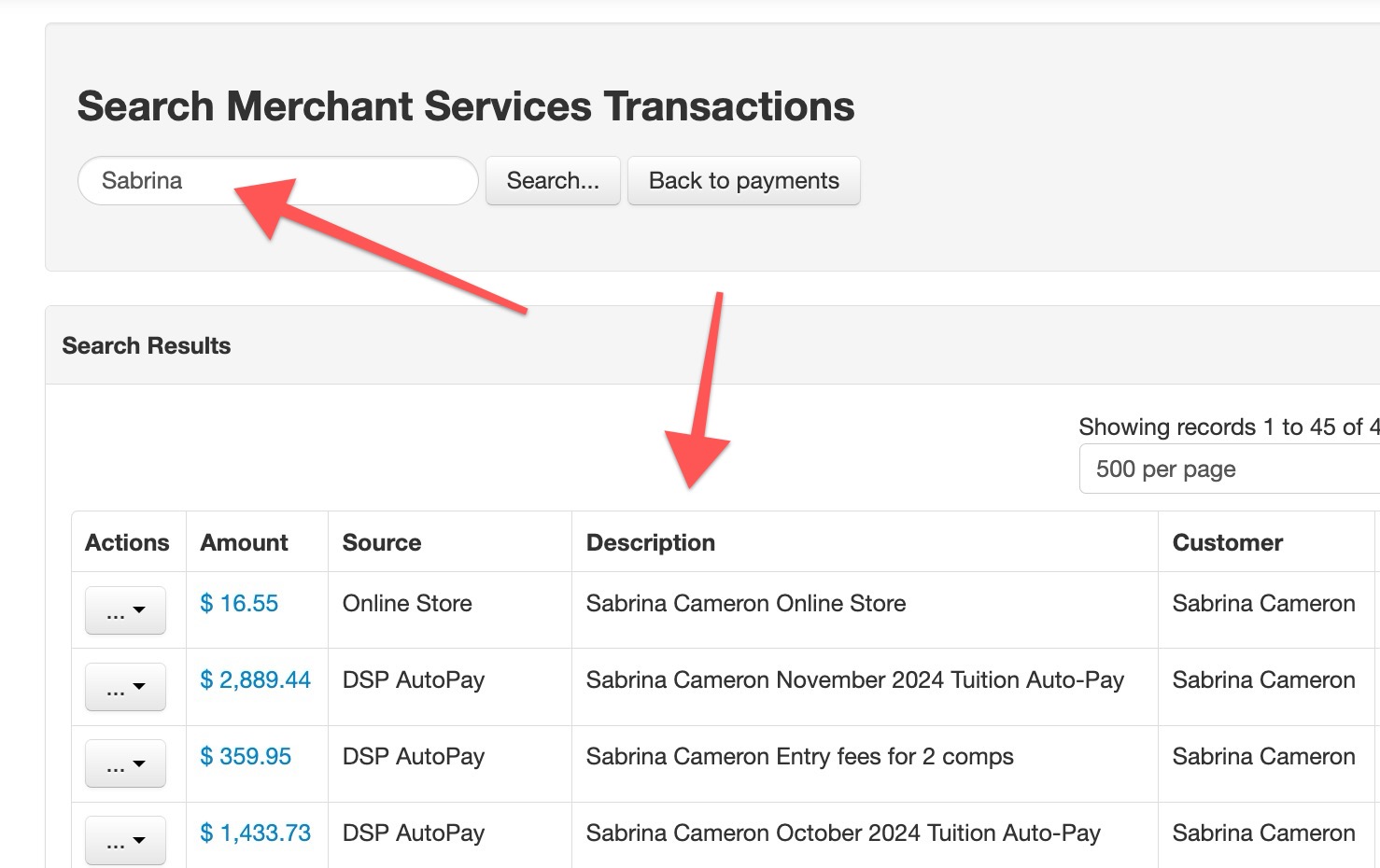 Merchant services transaction search results