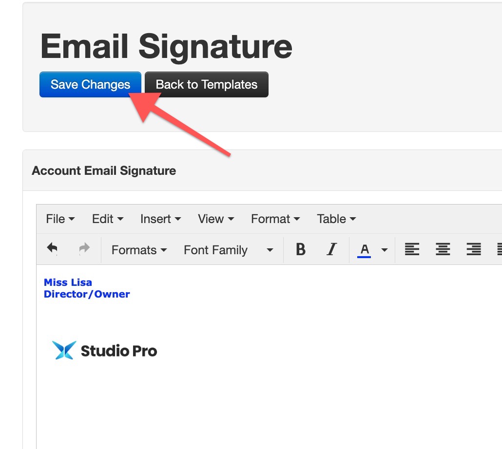 Email signature editor interface