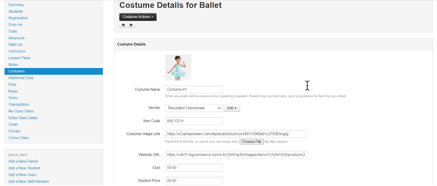 Ballet costume details form.