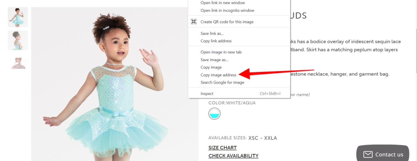 Child in aqua ballet costume