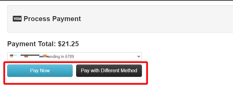 Screenshot of Process Payment section. Red box around Pay Now button and Pay with Different Method button.